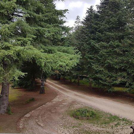 Le Clos Des Ecureuils ヴゾン エクステリア 写真