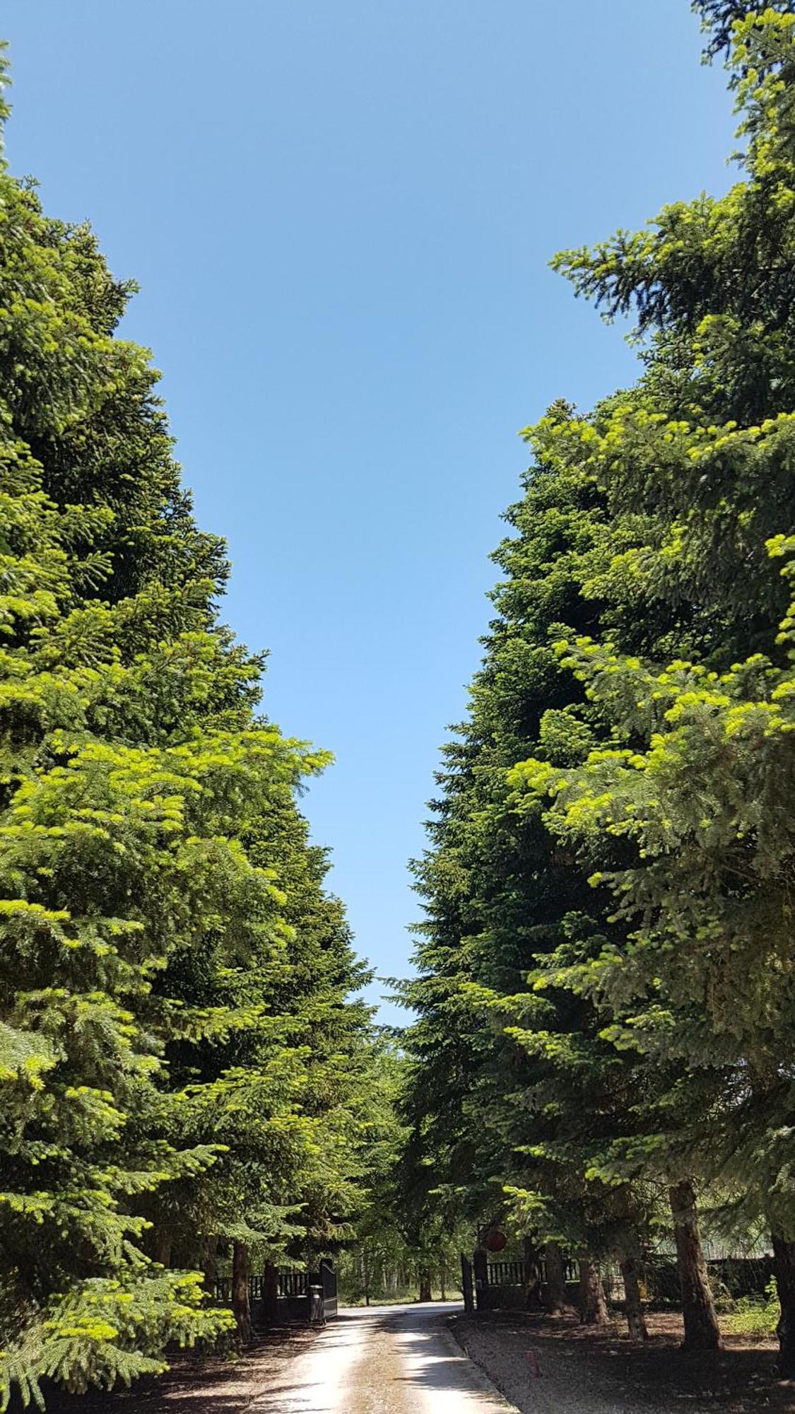 Le Clos Des Ecureuils ヴゾン エクステリア 写真